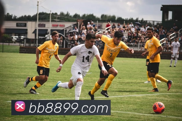 昇得源体育官网APP 体育赛事宣传图